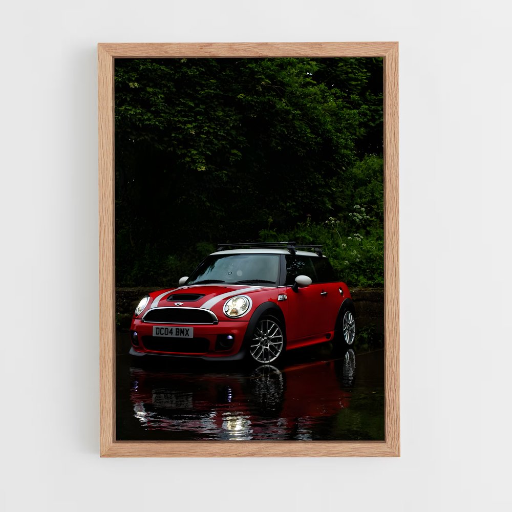 Poster Mini Aquatique (vue 4)